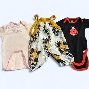 Baby Clothing Set with Floral and Ladybug Designs